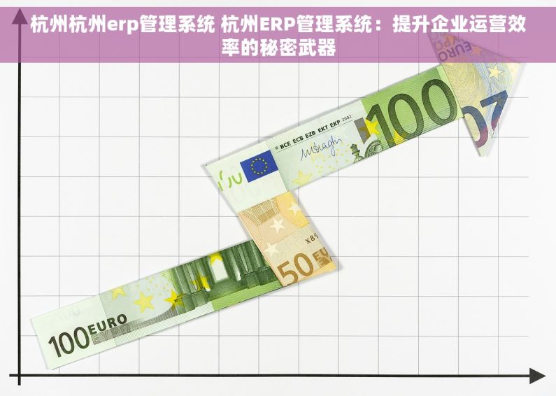 杭州杭州erp管理系统 杭州ERP管理系统：提升企业运营效率的秘密武器