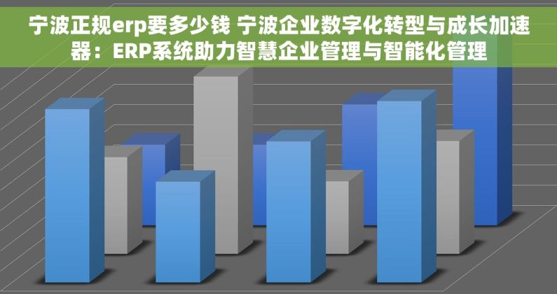 宁波正规erp要多少钱 宁波企业数字化转型与成长加速器：ERP系统助力智慧企业管理与智能化管理