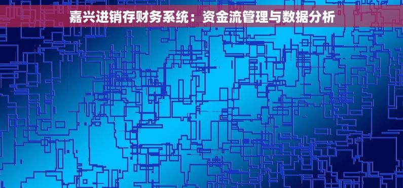 嘉兴进销存财务系统：资金流管理与数据分析