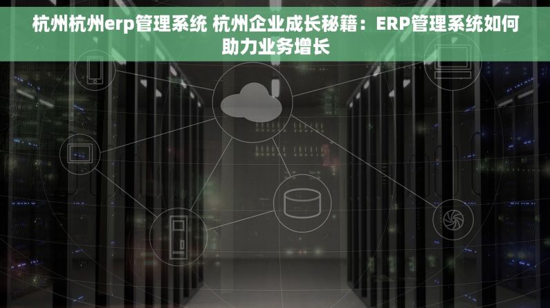 杭州杭州erp管理系统 杭州企业成长秘籍：ERP管理系统如何助力业务增长