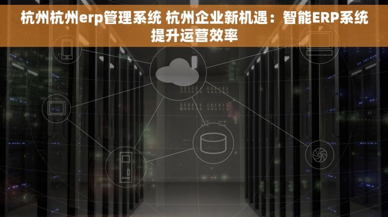 杭州杭州erp管理系统 杭州企业新机遇：智能ERP系统提升运营效率