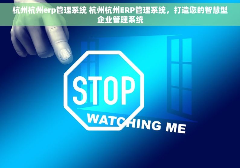 杭州杭州erp管理系统 杭州杭州ERP管理系统，打造您的智慧型企业管理系统