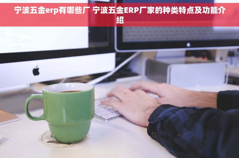 宁波五金erp有哪些厂 宁波五金ERP厂家的种类特点及功能介绍