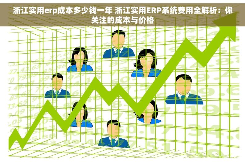 浙江实用erp成本多少钱一年 浙江实用ERP系统费用全解析：你关注的成本与价格
