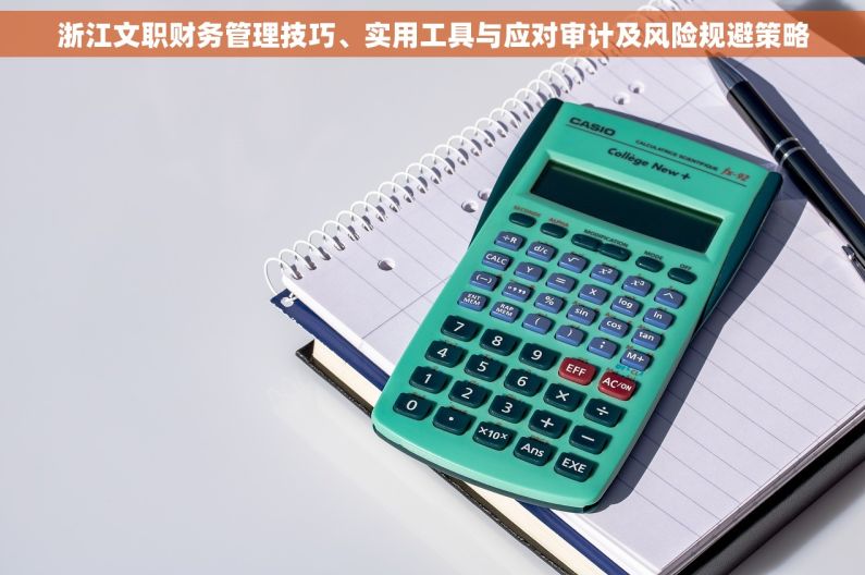 浙江文职财务管理技巧、实用工具与应对审计及风险规避策略