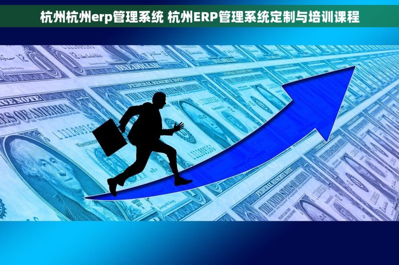 杭州杭州erp管理系统 杭州ERP管理系统定制与培训课程