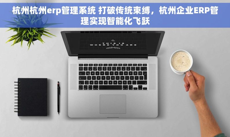 杭州杭州erp管理系统 打破传统束缚，杭州企业ERP管理实现智能化飞跃