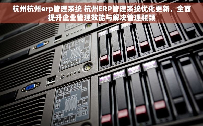 杭州杭州erp管理系统 杭州ERP管理系统优化更新，全面提升企业管理效能与解决管理瓶颈