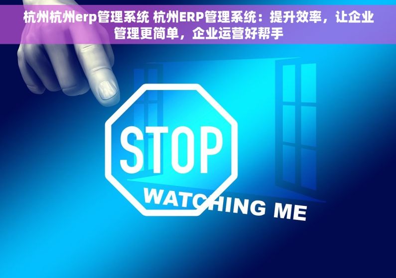 杭州杭州erp管理系统 杭州ERP管理系统：提升效率，让企业管理更简单，企业运营好帮手