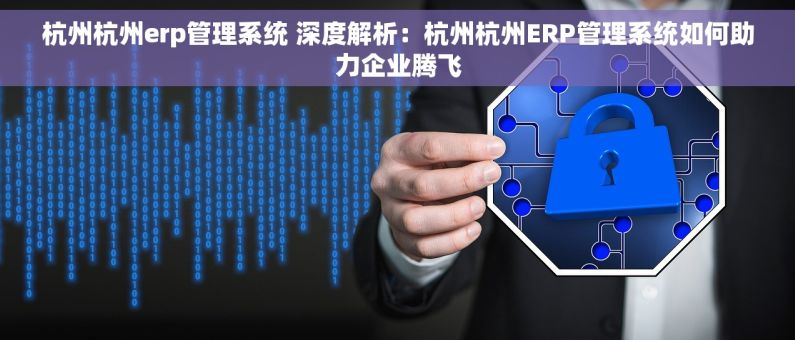 杭州杭州erp管理系统 深度解析：杭州杭州ERP管理系统如何助力企业腾飞
