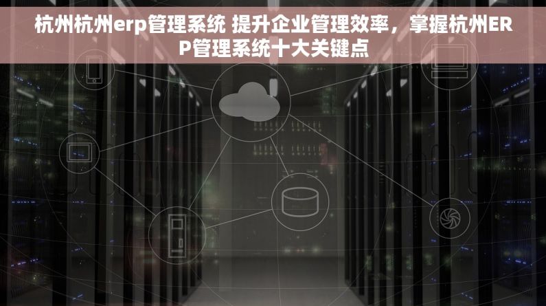 杭州杭州erp管理系统 提升企业管理效率，掌握杭州ERP管理系统十大关键点