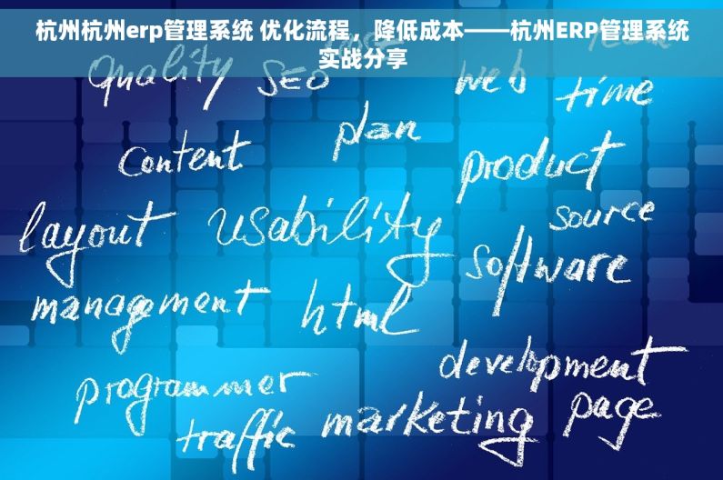 杭州杭州erp管理系统 优化流程，降低成本——杭州ERP管理系统实战分享