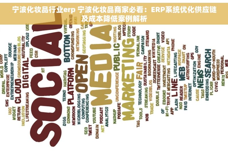 宁波化妆品行业erp 宁波化妆品商家必看：ERP系统优化供应链及成本降低案例解析