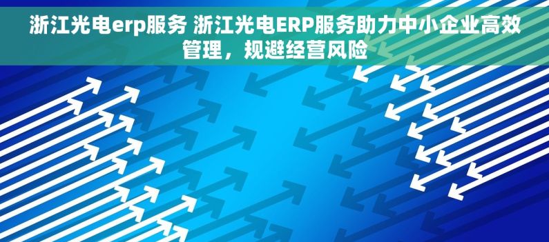 浙江光电erp服务 浙江光电ERP服务助力中小企业高效管理，规避经营风险