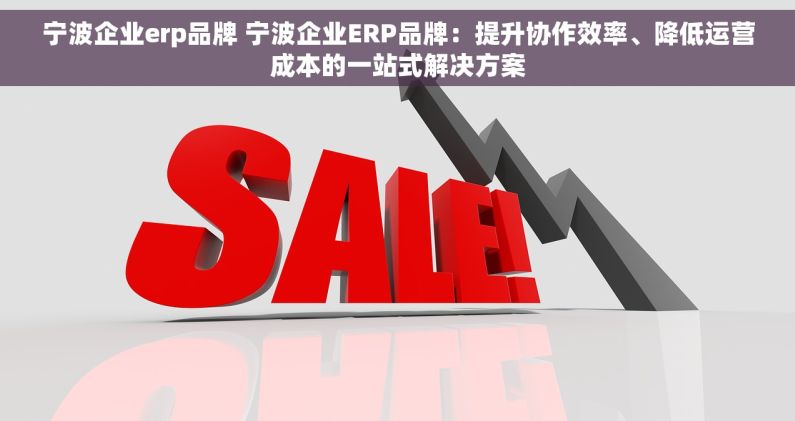 宁波企业erp品牌 宁波企业ERP品牌：提升协作效率、降低运营成本的一站式解决方案