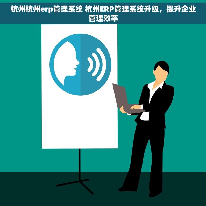 杭州杭州erp管理系统 杭州ERP管理系统升级，提升企业管理效率