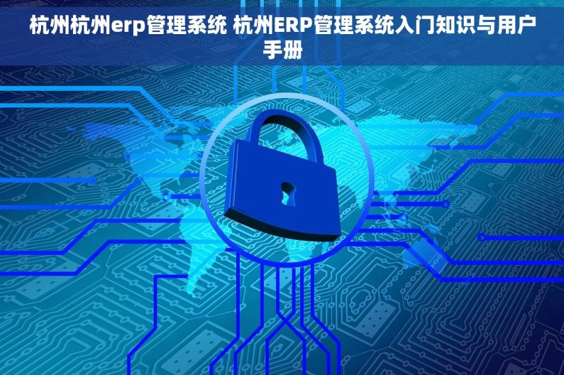 杭州杭州erp管理系统 杭州ERP管理系统入门知识与用户手册