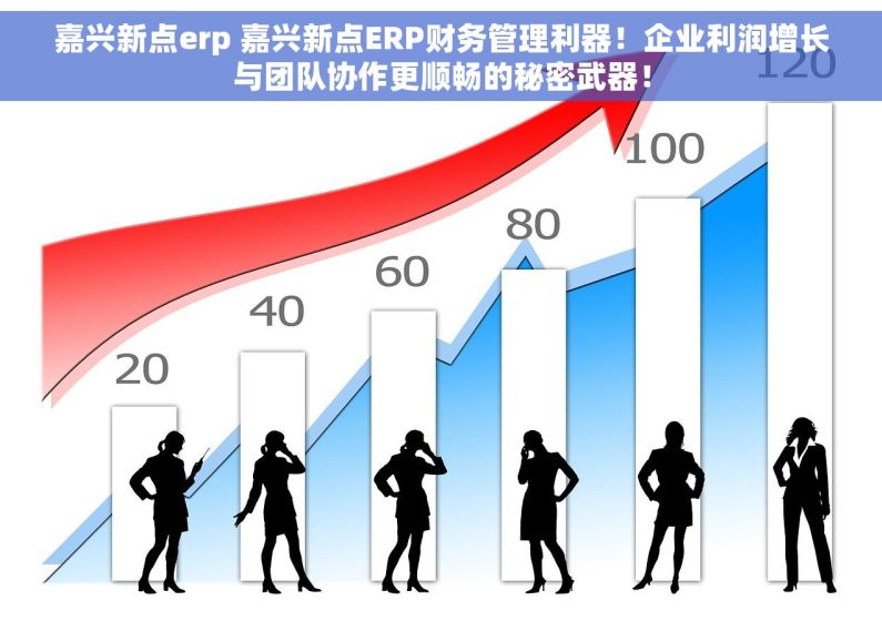 嘉兴新点erp 嘉兴新点ERP财务管理利器！企业利润增长与团队协作更顺畅的秘密武器！