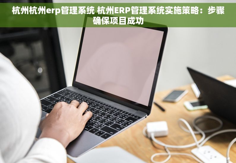 杭州杭州erp管理系统 杭州ERP管理系统实施策略：步骤确保项目成功