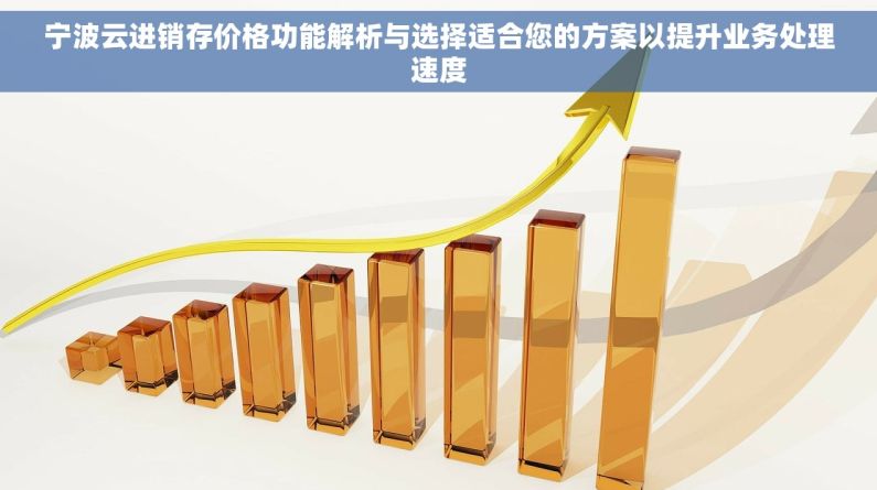 宁波云进销存价格功能解析与选择适合您的方案以提升业务处理速度