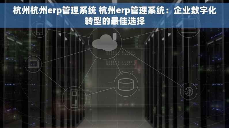 杭州杭州erp管理系统 杭州erp管理系统：企业数字化转型的最佳选择
