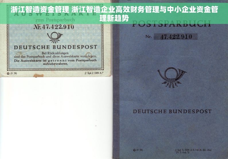 浙江智造资金管理 浙江智造企业高效财务管理与中小企业资金管理新趋势