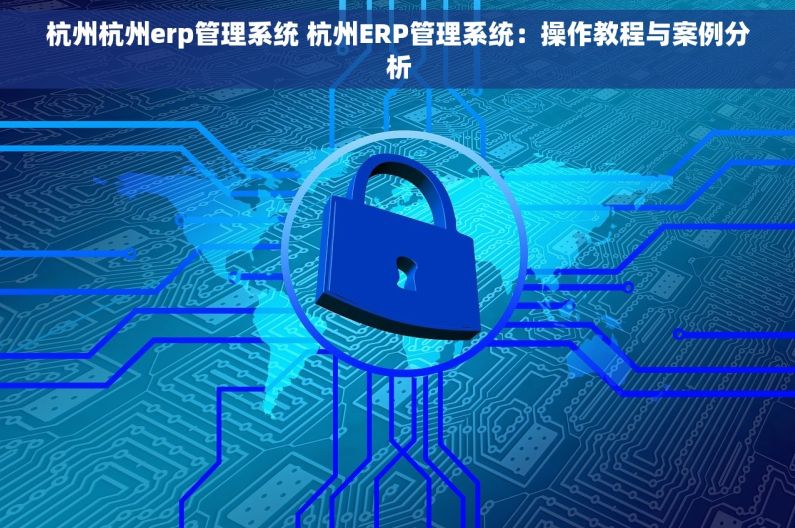 杭州杭州erp管理系统 杭州ERP管理系统：操作教程与案例分析