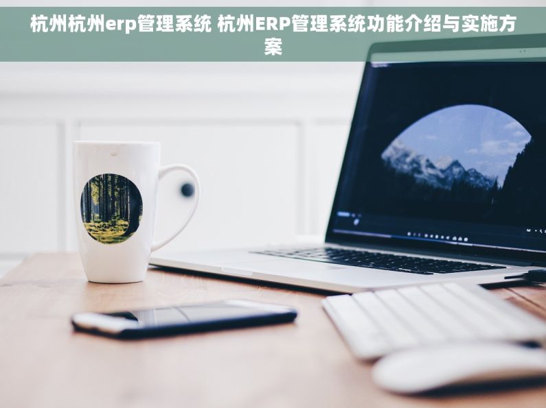 杭州杭州erp管理系统 杭州ERP管理系统功能介绍与实施方案