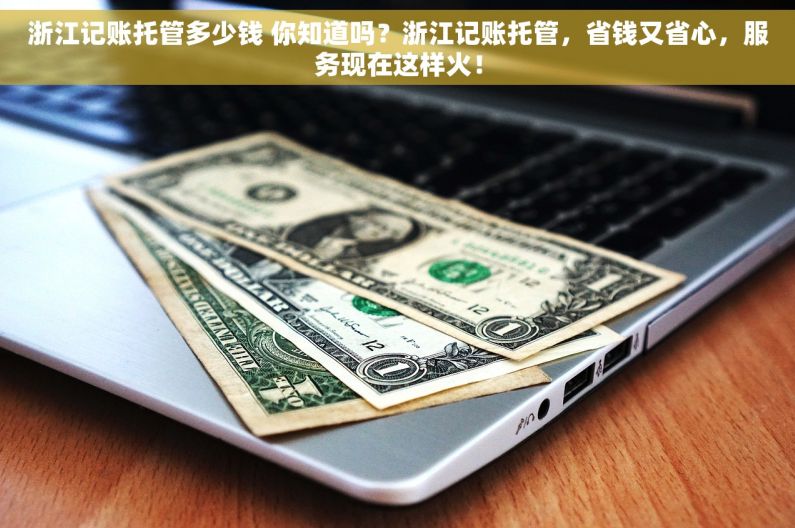 浙江记账托管多少钱 你知道吗？浙江记账托管，省钱又省心，服务现在这样火！