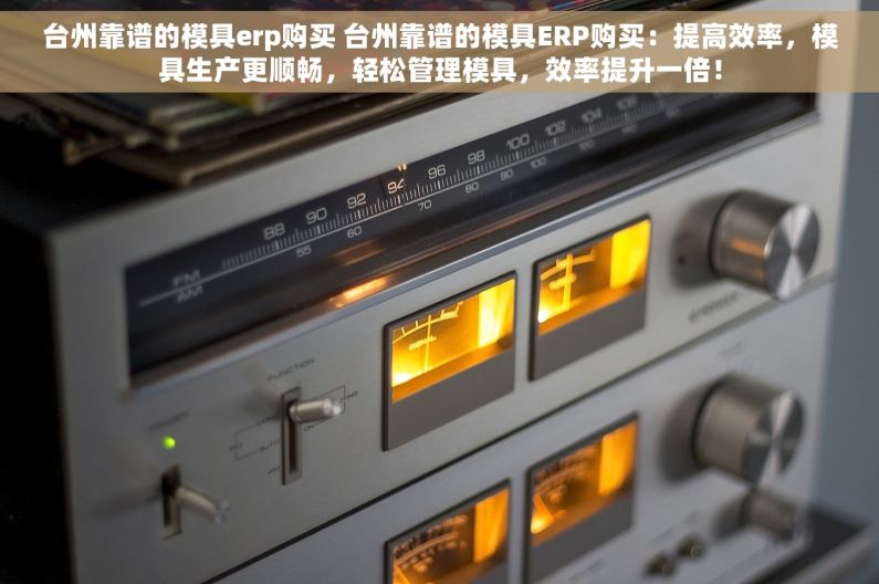 台州靠谱的模具erp购买 台州靠谱的模具ERP购买：提高效率，模具生产更顺畅，轻松管理模具，效率提升一倍！