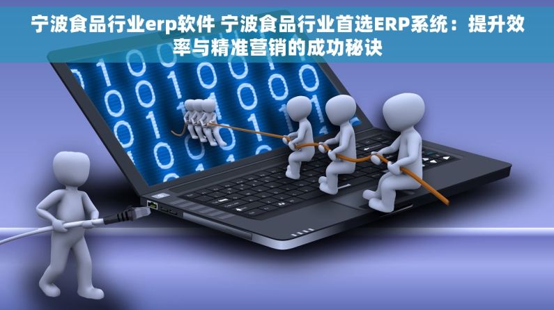 宁波食品行业erp软件 宁波食品行业首选ERP系统：提升效率与精准营销的成功秘诀