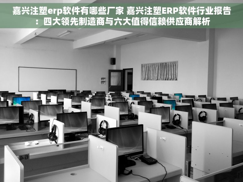 嘉兴注塑erp软件有哪些厂家 嘉兴注塑ERP软件行业报告：四大领先制造商与六大值得信赖供应商解析
