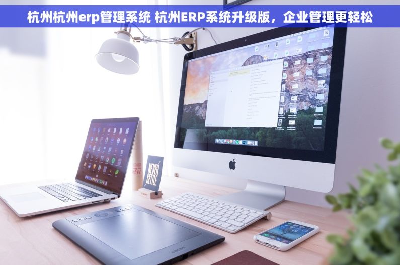 杭州杭州erp管理系统 杭州ERP系统升级版，企业管理更轻松