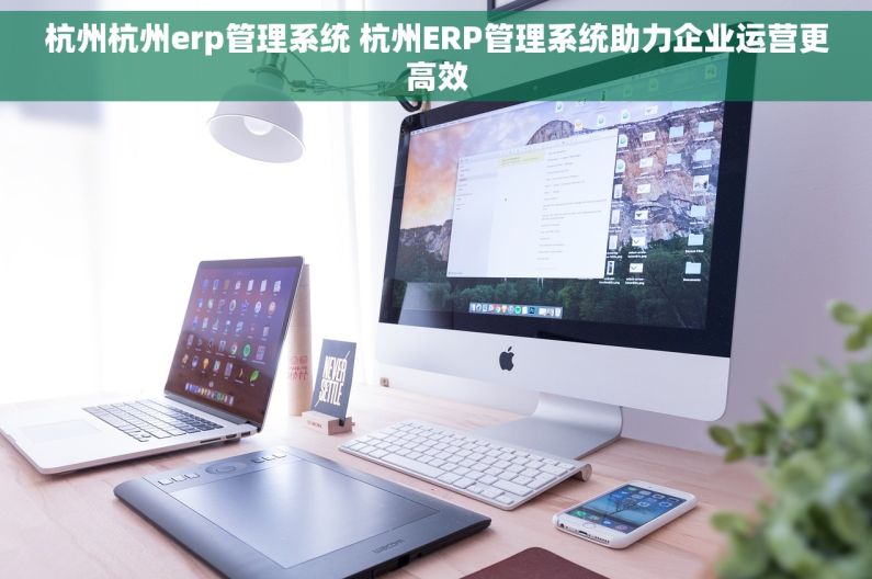 杭州杭州erp管理系统 杭州ERP管理系统助力企业运营更高效