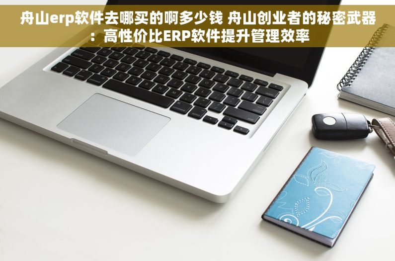 舟山erp软件去哪买的啊多少钱 舟山创业者的秘密武器：高性价比ERP软件提升管理效率