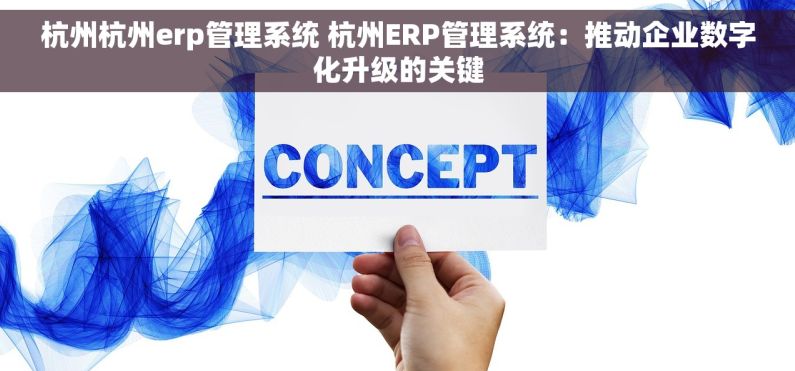 杭州杭州erp管理系统 杭州ERP管理系统：推动企业数字化升级的关键