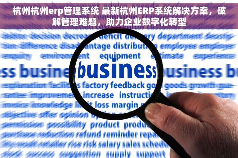 杭州杭州erp管理系统 最新杭州ERP系统解决方案，破解管理难题，助力企业数字化转型