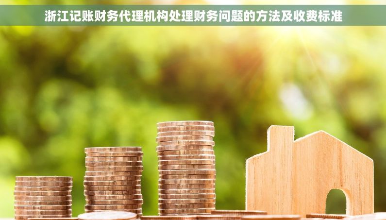 浙江记账财务代理机构处理财务问题的方法及收费标准