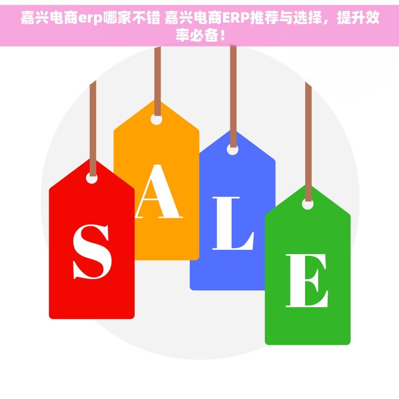 嘉兴电商erp哪家不错 嘉兴电商ERP推荐与选择，提升效率必备！