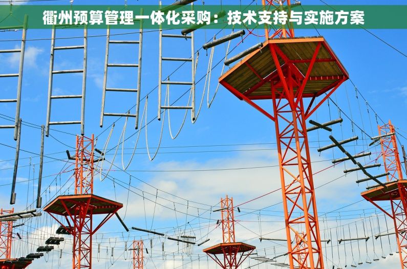 衢州预算管理一体化采购：技术支持与实施方案