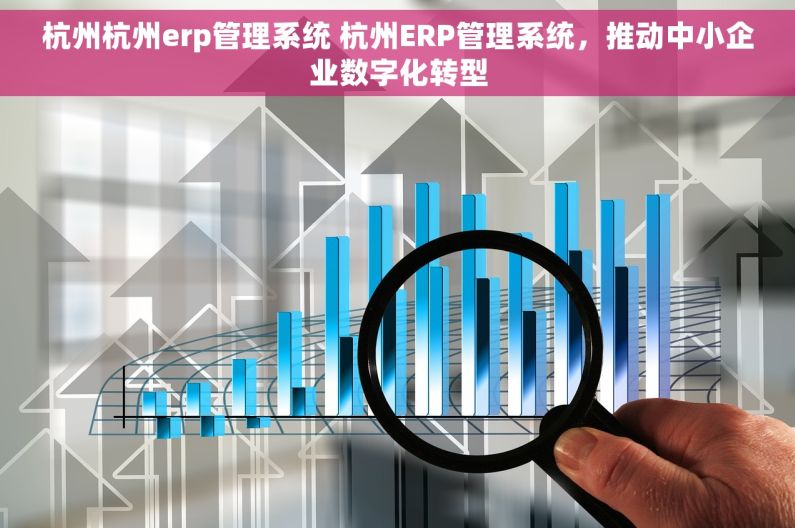 杭州杭州erp管理系统 杭州ERP管理系统，推动中小企业数字化转型