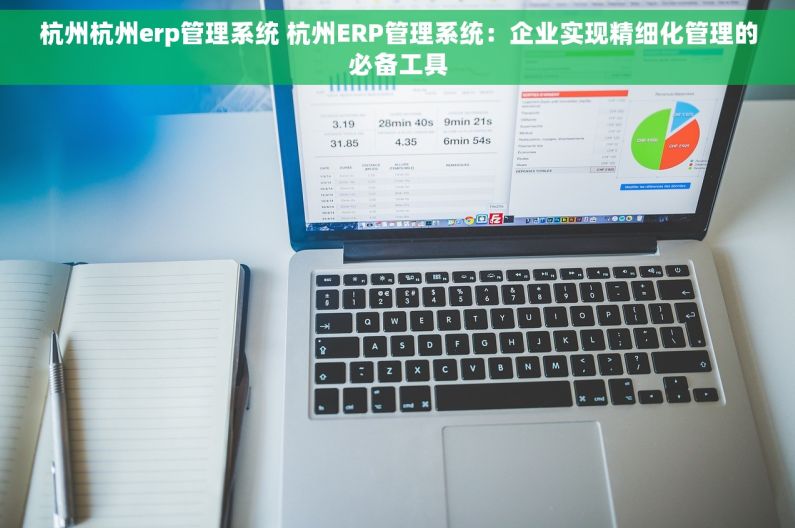 杭州杭州erp管理系统 杭州ERP管理系统：企业实现精细化管理的必备工具