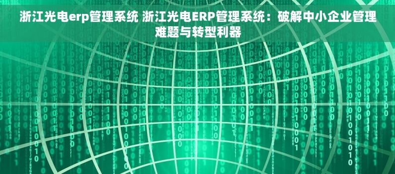 浙江光电erp管理系统 浙江光电ERP管理系统：破解中小企业管理难题与转型利器