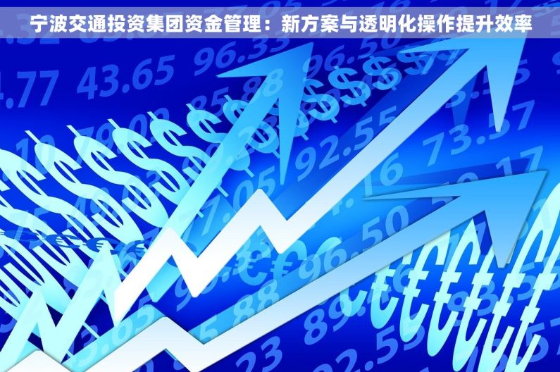 宁波交通投资集团资金管理：新方案与透明化操作提升效率