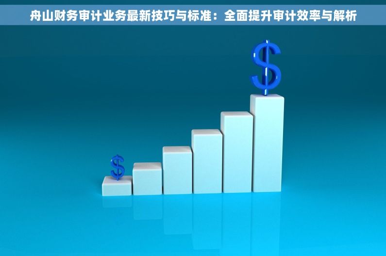 舟山财务审计业务最新技巧与标准：全面提升审计效率与解析