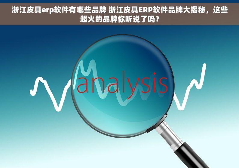 浙江皮具erp软件有哪些品牌 浙江皮具ERP软件品牌大揭秘，这些超火的品牌你听说了吗？