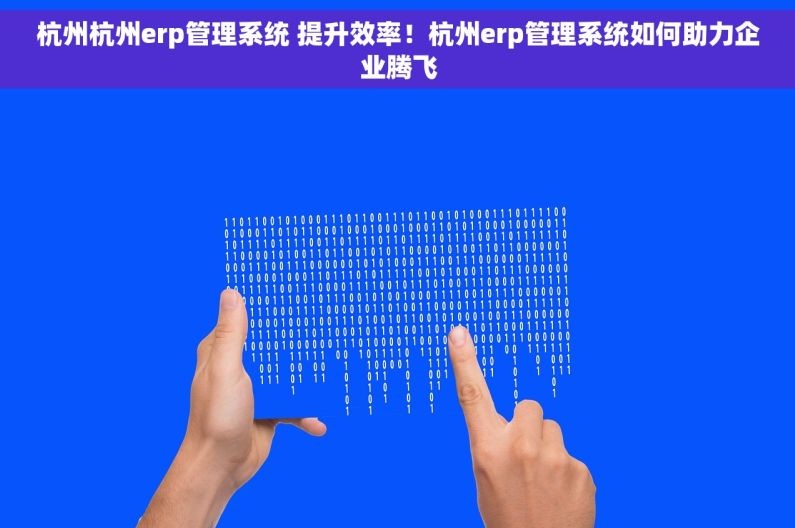 杭州杭州erp管理系统 提升效率！杭州erp管理系统如何助力企业腾飞