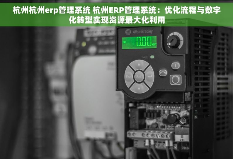 杭州杭州erp管理系统 杭州ERP管理系统：优化流程与数字化转型实现资源最大化利用
