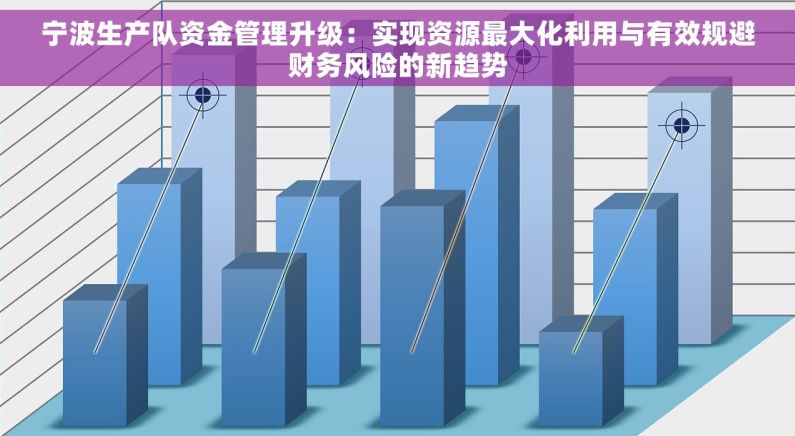 宁波生产队资金管理升级：实现资源最大化利用与有效规避财务风险的新趋势