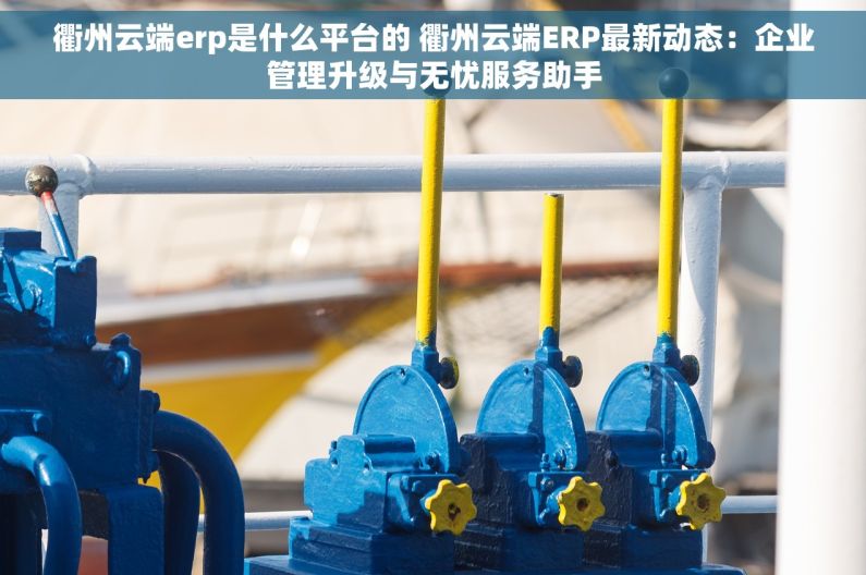 衢州云端erp是什么平台的 衢州云端ERP最新动态：企业管理升级与无忧服务助手